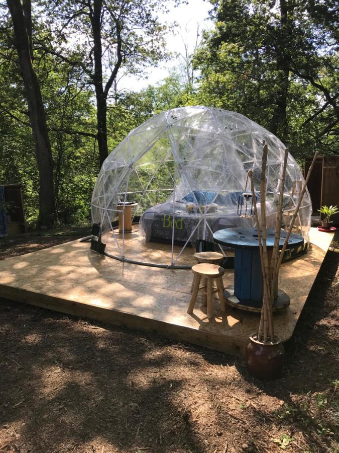 Bulle Etoilee En Nature Landaise Saint-Sever  외부 사진